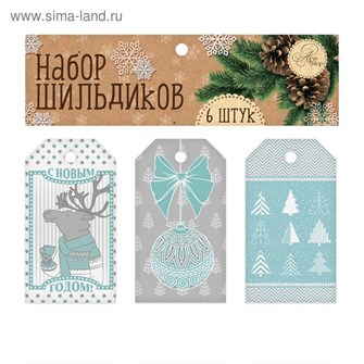 Набор шильдиков Снежный 6шт 5*9см 1426869 1426869
