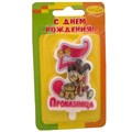 Свеча Цифра 5 Проказница розовая 3855P 6039202